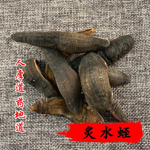 2025亳州水蛭价格会涨还是跌？-图3