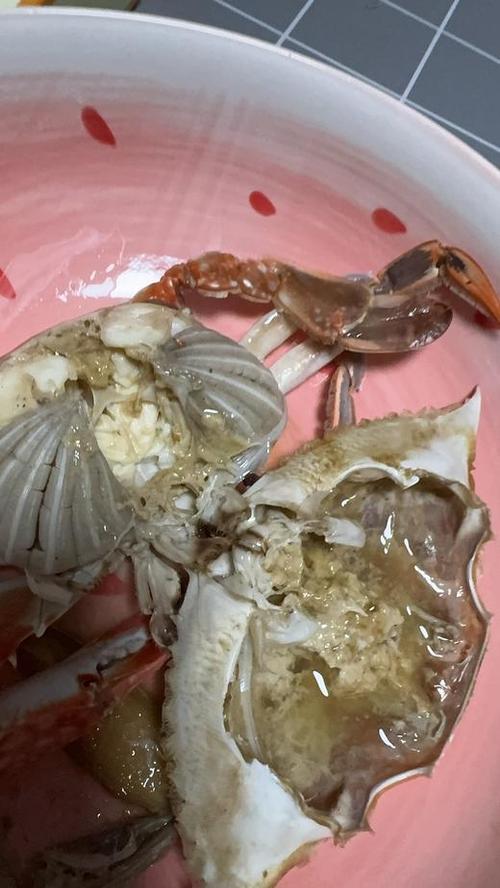 最新梭子蟹暂养技术有哪些要点？-图2