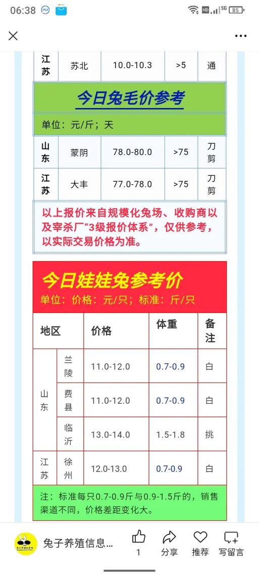 2025兔毛价格会涨还是跌？-图1