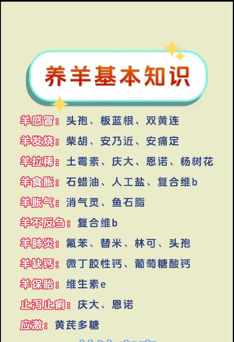 养羊疾病技术交流平台，如何高效解决养殖难题？-图2