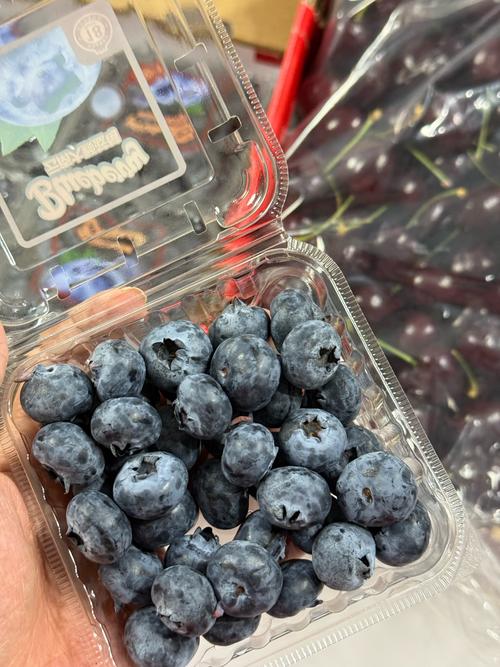 南方蓝莓哪个品种最甜好吃？-图2
