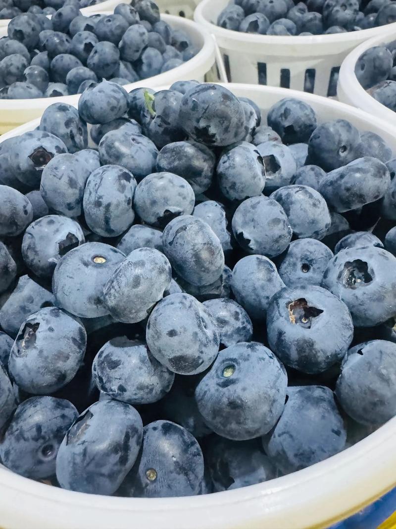 南方蓝莓哪个品种最甜好吃？-图3