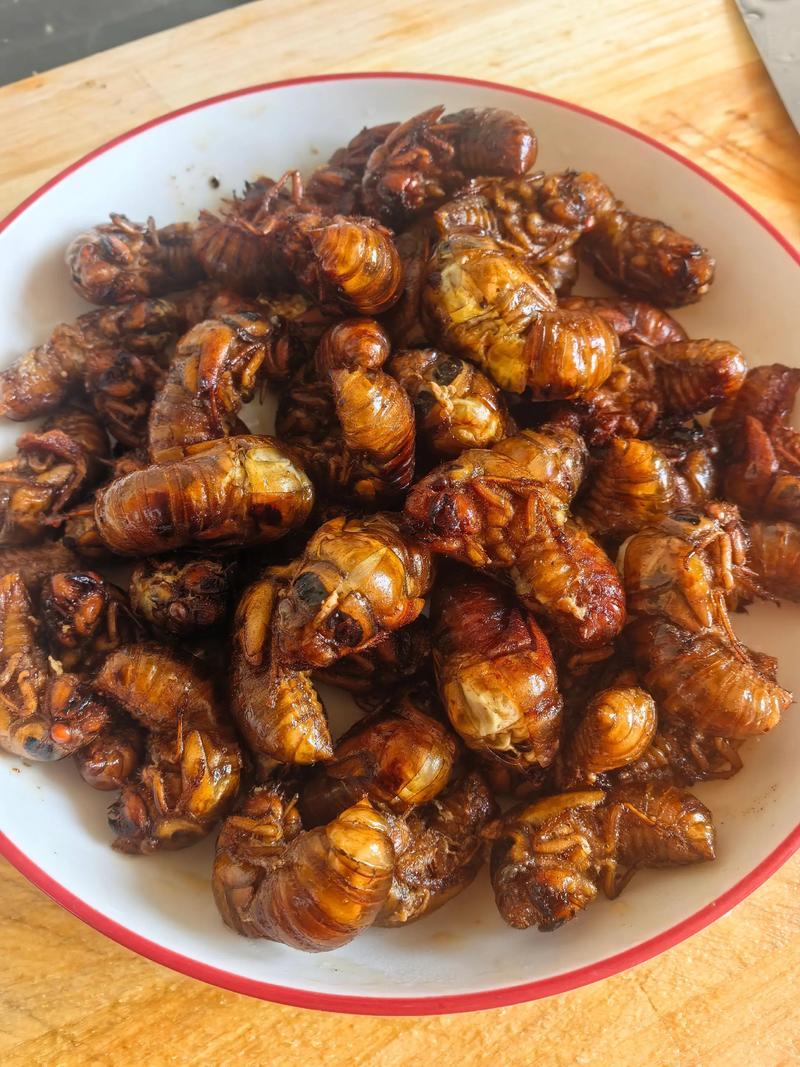 哪里能学到养殖爬拉猴技术？-图1