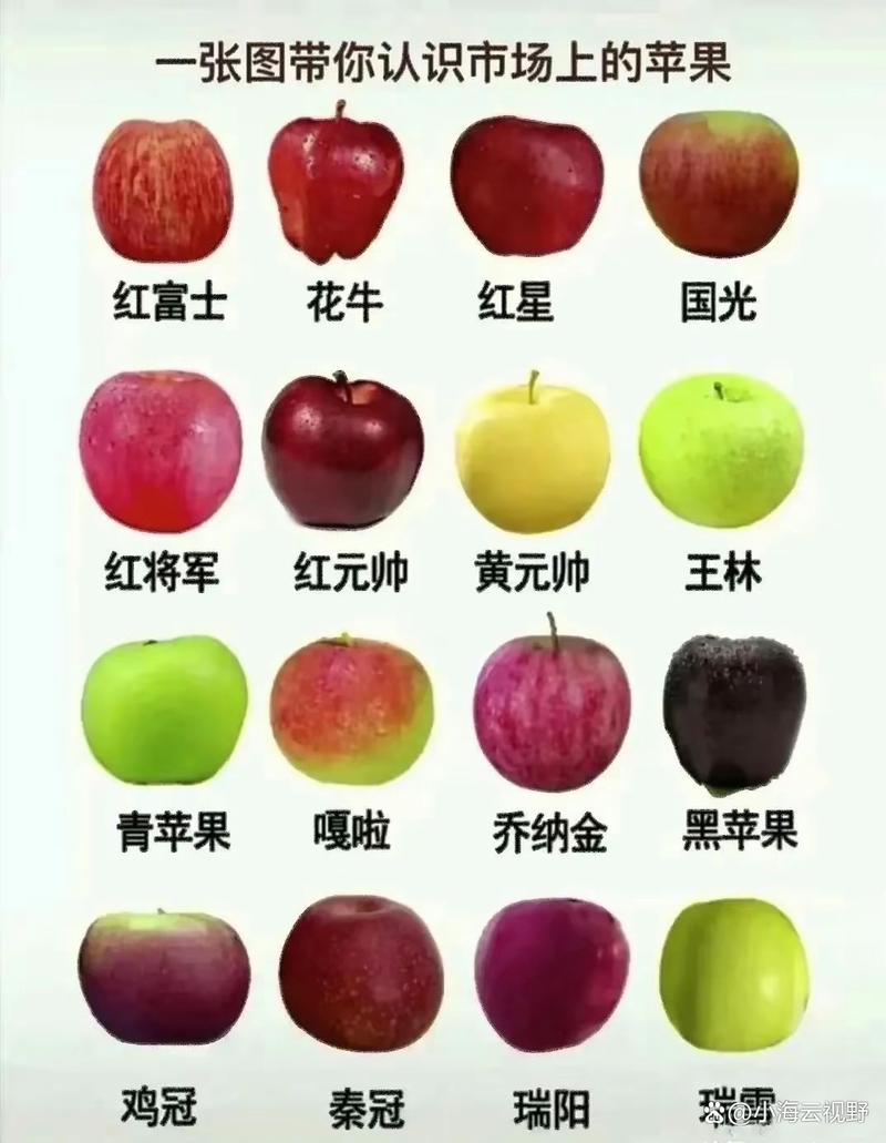 苹果都有什么品种图片-图3