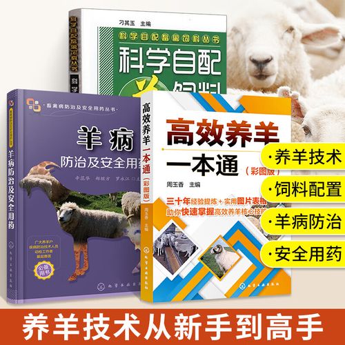 科学养羊技术大全，如何高效实用？-图1