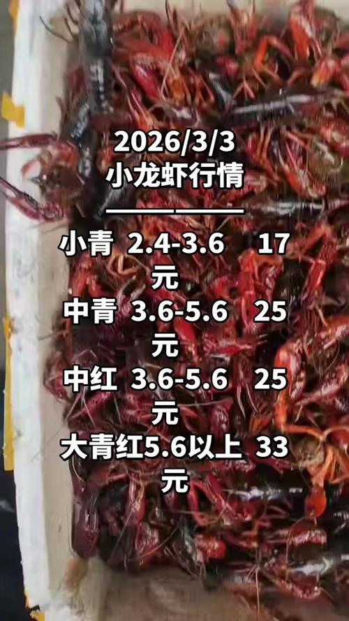 天津龙虾价格2025-图3