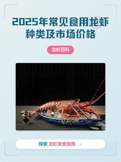 天津龙虾价格2025-图2