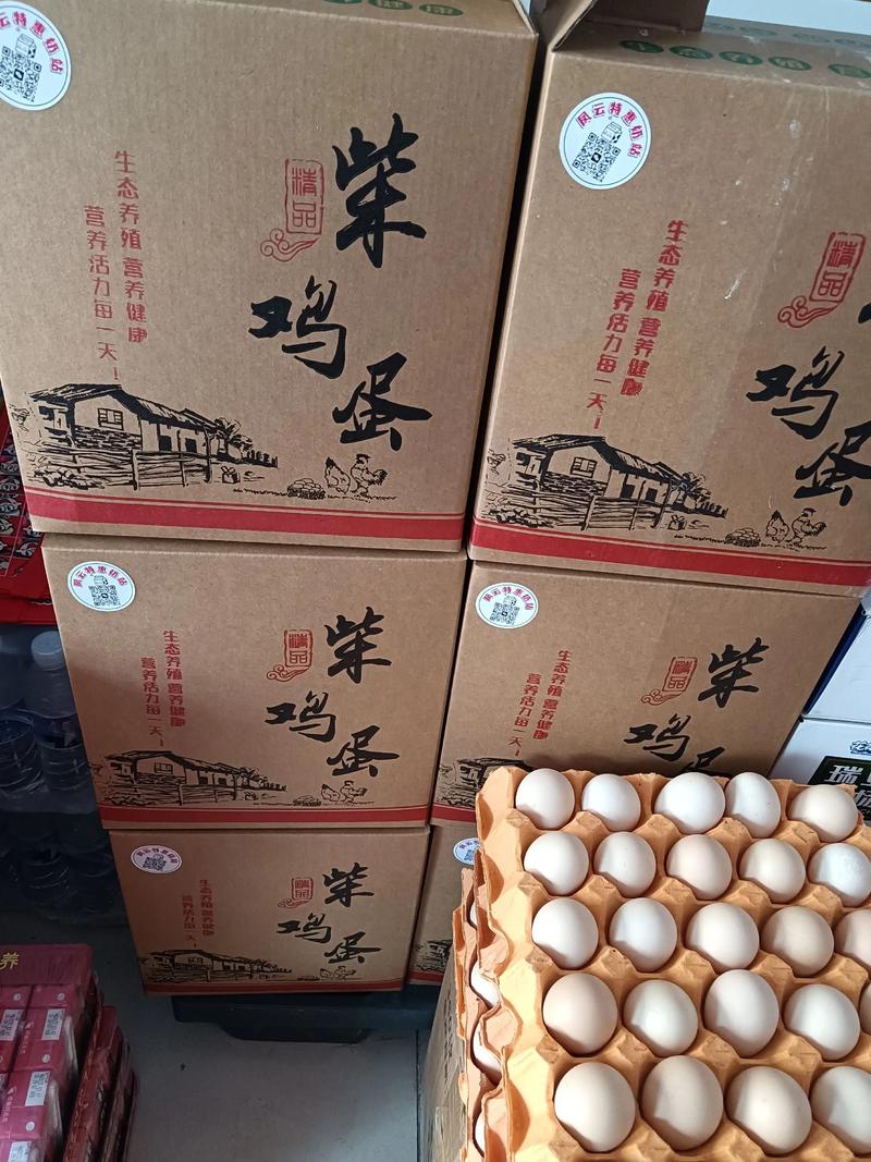 2025河南柴鸡价格会涨还是跌？-图3