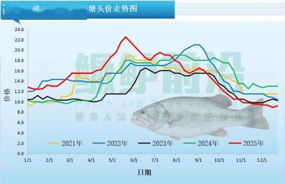 2025年鳗鱼价格会涨还是跌？-图1