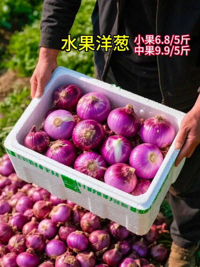 2025年洋葱价格会涨还是会跌？-图3