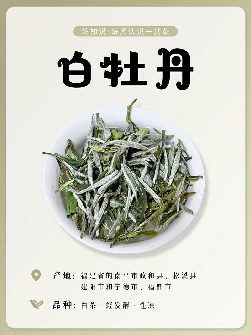 白色牡丹品种有哪些？-图1