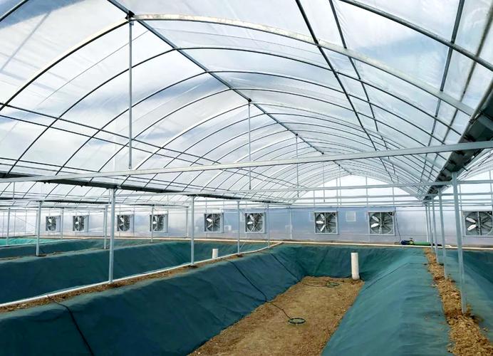 小龙虾立体养殖技术如何高效应用？-图2