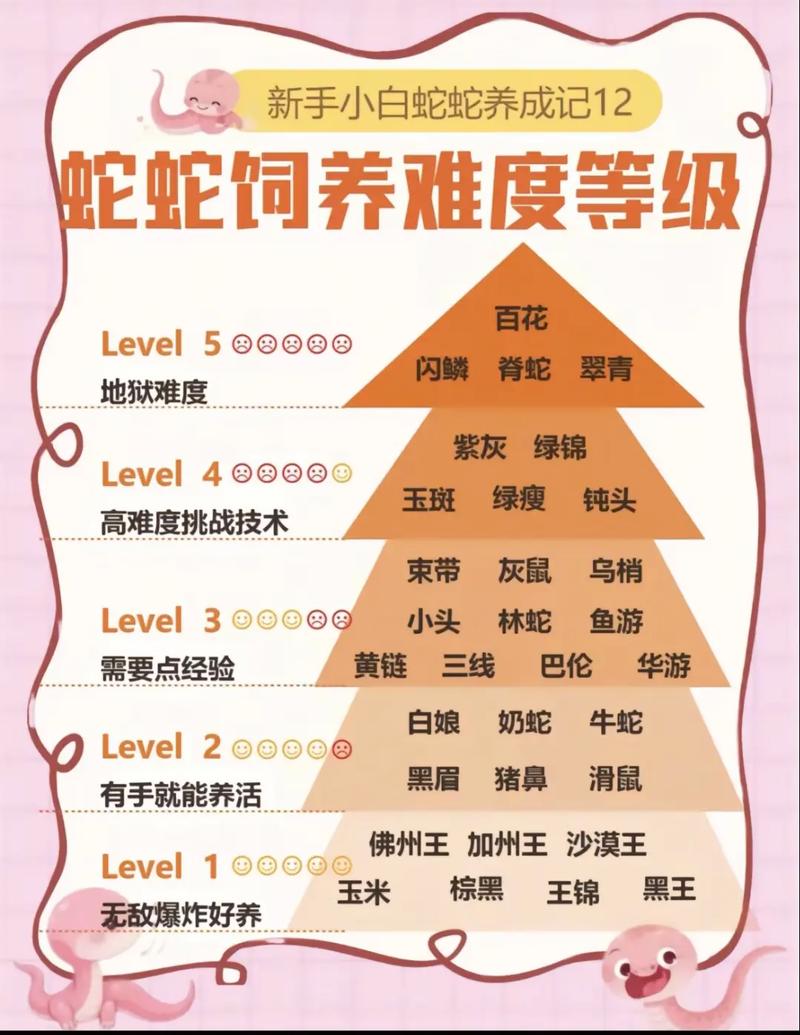 大王蛇养殖如何致富？技术门槛高吗？-图3