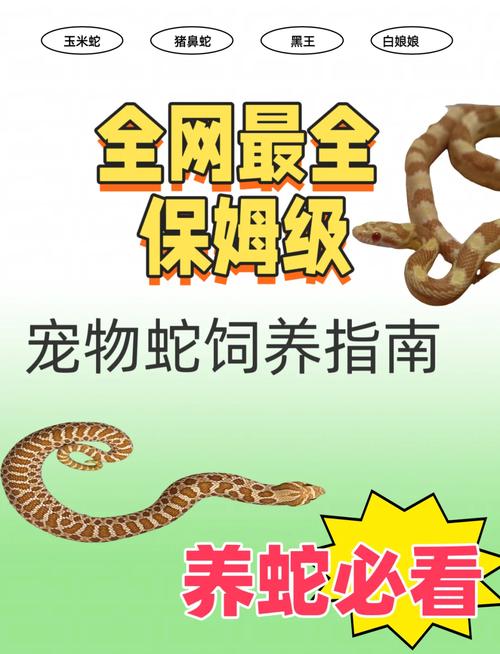 大王蛇种蛇如何科学喂养？-图3