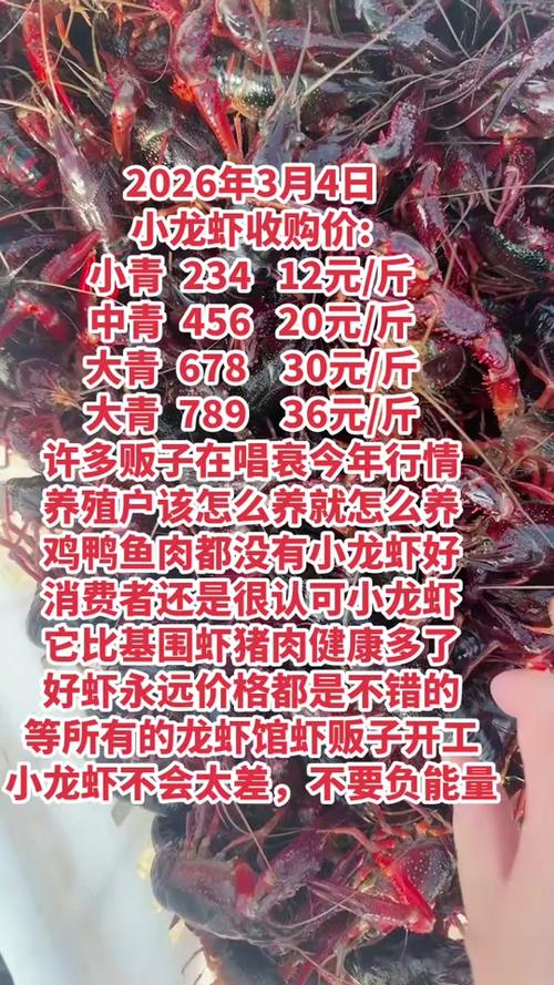 2025南京龙虾价格会涨还是跌？-图3