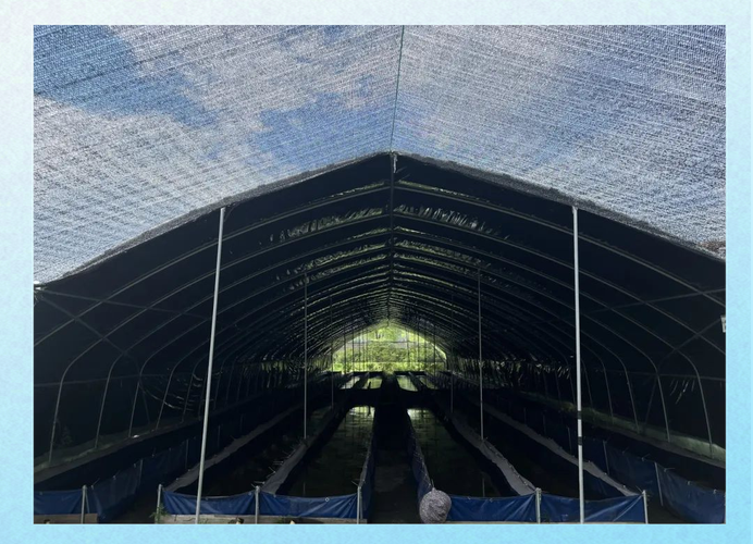 塑料桶养殖水蛭技术可行吗？-图2