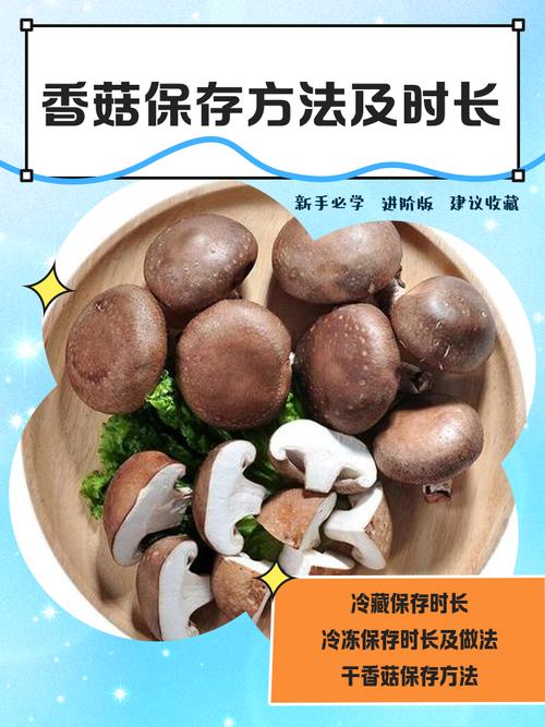 香菇栽培技术视频教程-图3