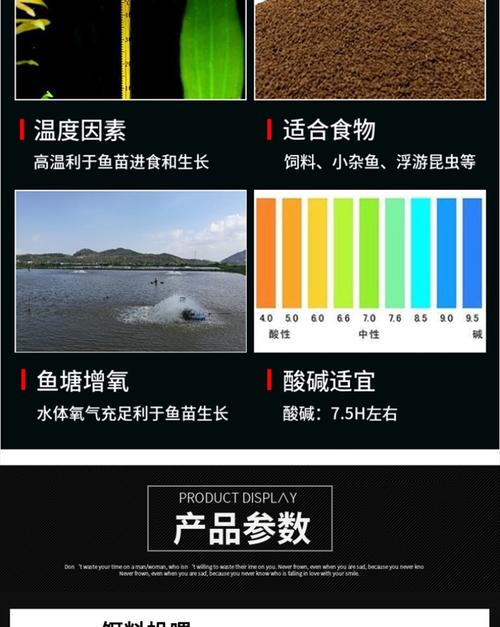 黄辣丁养殖利润高吗？技术门槛如何？-图3