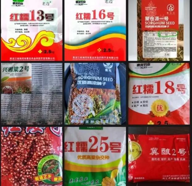 2025河北高粱价格-图3