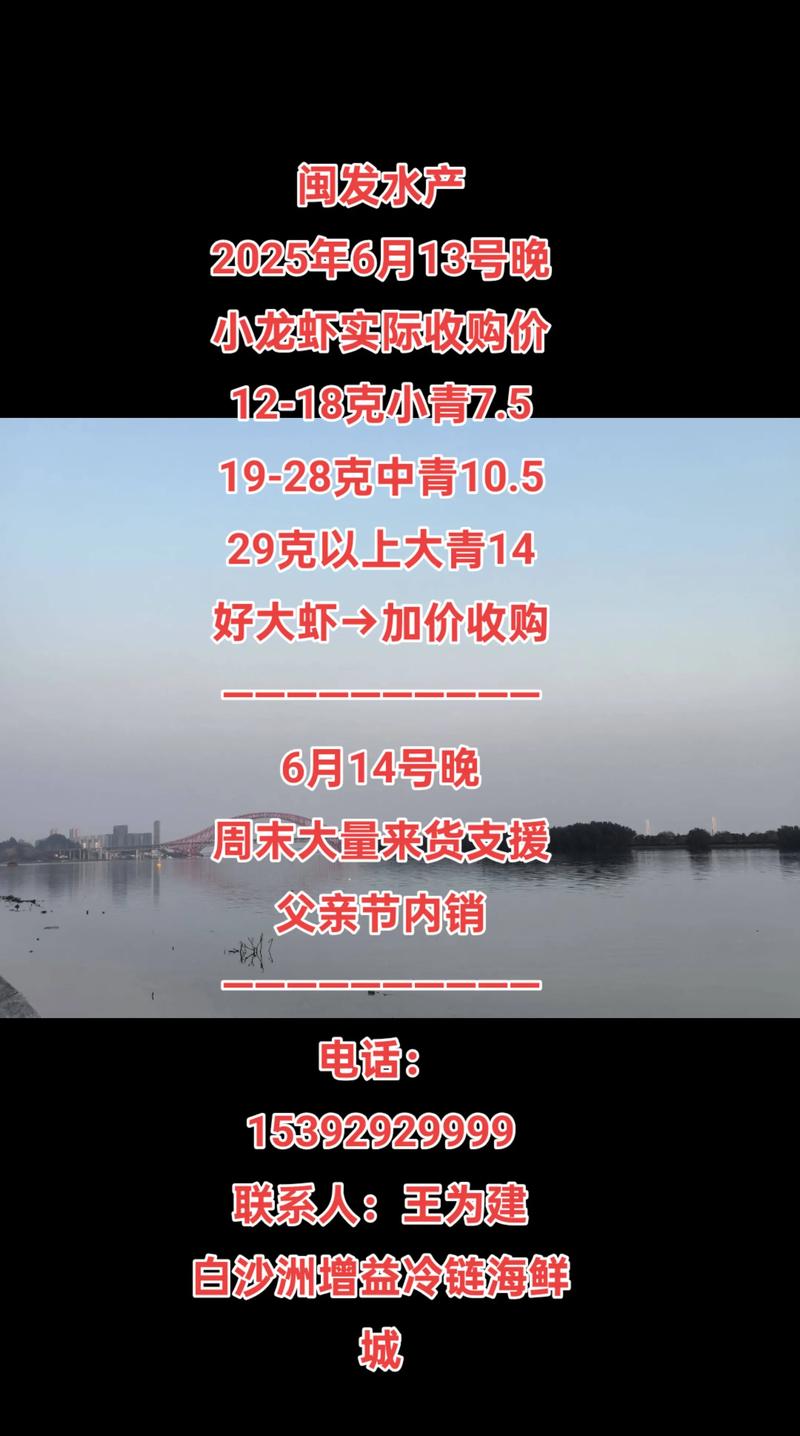 2025年龙虾价格会涨还是跌？-图1