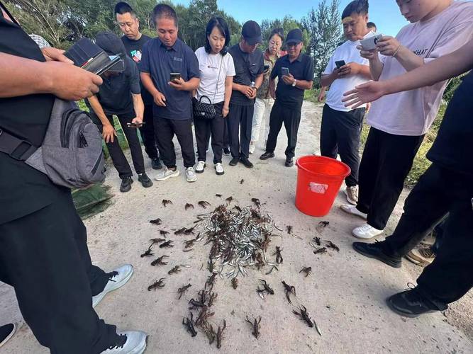 哪里有靠谱的养龙虾技术培训？-图2