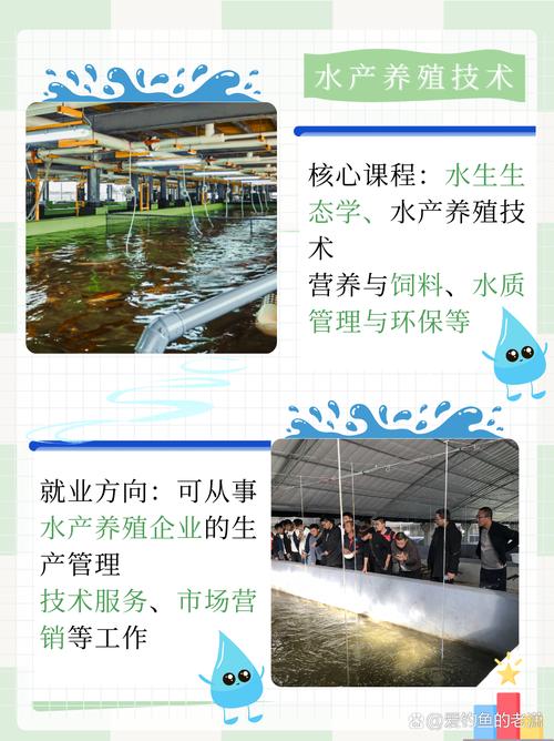 农村养殖技术培训资料有哪些实用内容？-图3