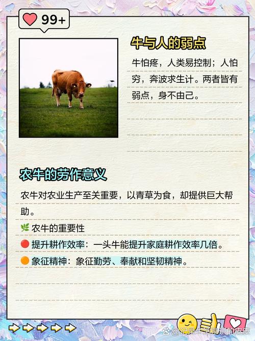 沙牛养殖技术视频教程怎么学？-图2