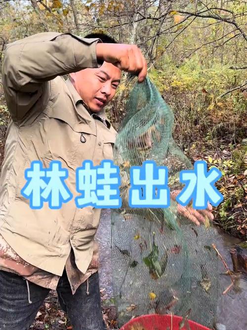 林蛙圈养技术难掌握吗？实际养殖效益到底有多高？-图2