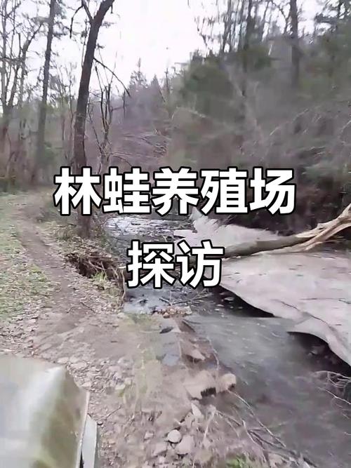 林蛙圈养技术难掌握吗？实际养殖效益到底有多高？-图3