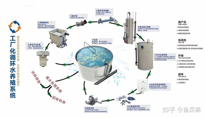 循环水高密度养鱼技术如何实现高效可持续？-图2