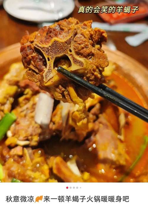 干蝎子最新价格多少？-图1