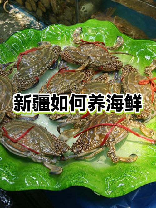 新疆海鲜市场价格怎么样？-图1