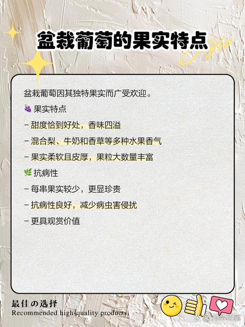 葡萄树后期管理有何关键技术？-图3