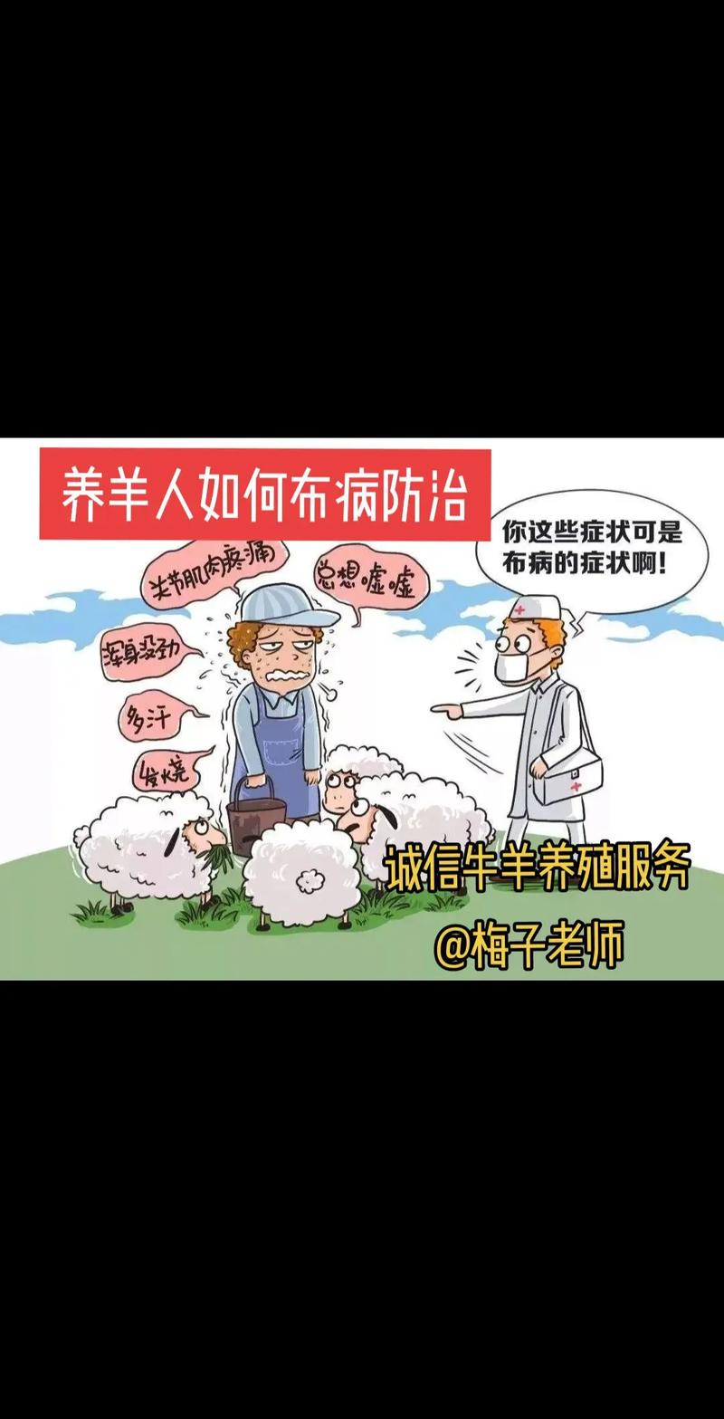 如何科学防治放养黑山羊疾病？-图2