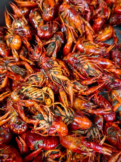 淡水小龙虾究竟有多少品种？-图2