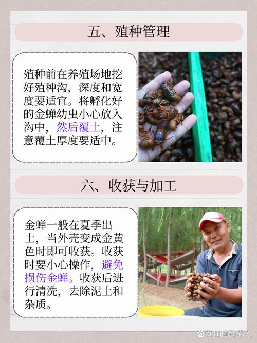 爬叉养殖技术视频教程怎么学？-图3