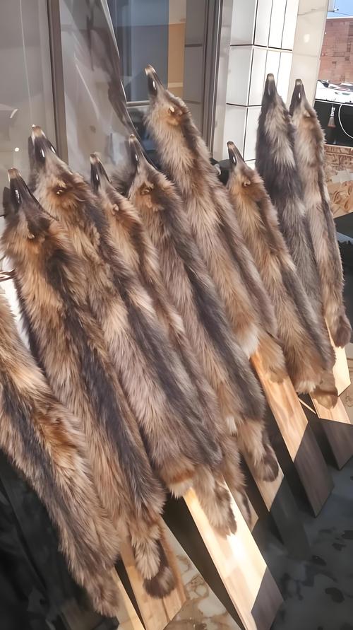 今年尚村貉皮价格为何波动？-图1