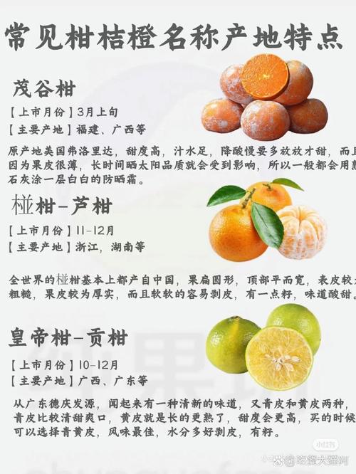 当前什么桔子品种最好种植？-图2