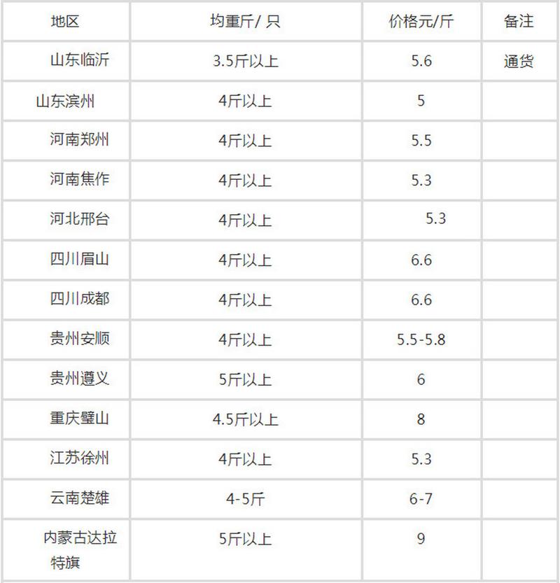 兔子最新价格行情是多少？-图1
