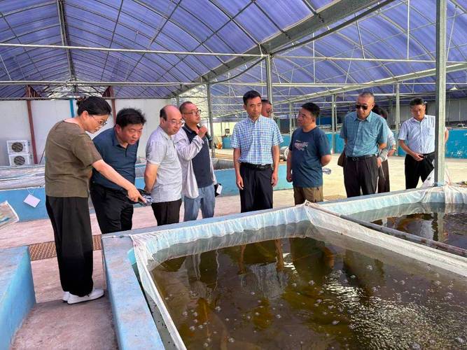 湖北龙虾养殖技术培训，核心要点有哪些？-图2