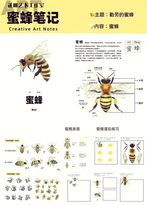 西蜂养殖技术视频教程怎么学更高效？-图2