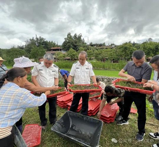 红鳌鳌虾养殖技术视频怎么学？-图2