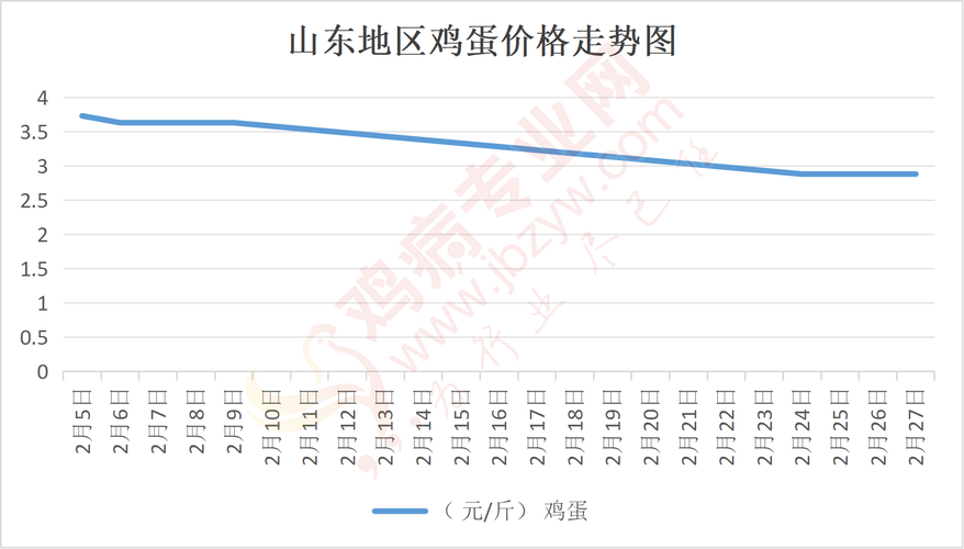 青岛鸡蛋今日价格多少钱一斤？-图1