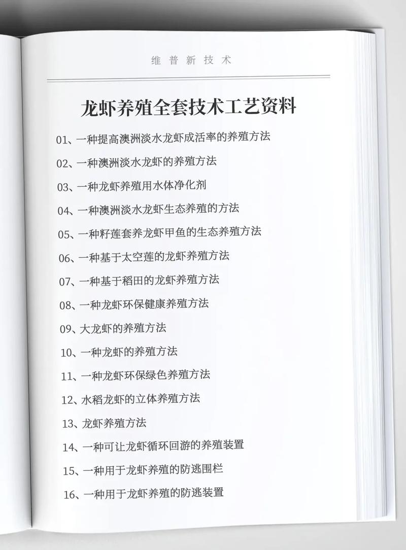 龙虾秋季养殖技术有哪些新突破？-图2
