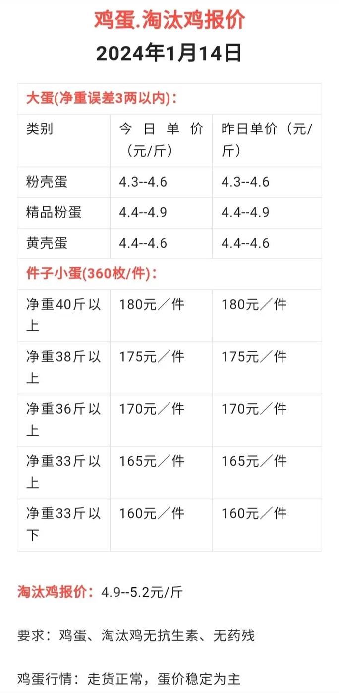 蛋鸡养殖技术资料大全有哪些要点？-图2