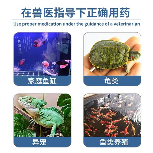 广东鱼药批发市场价格怎么样？-图3