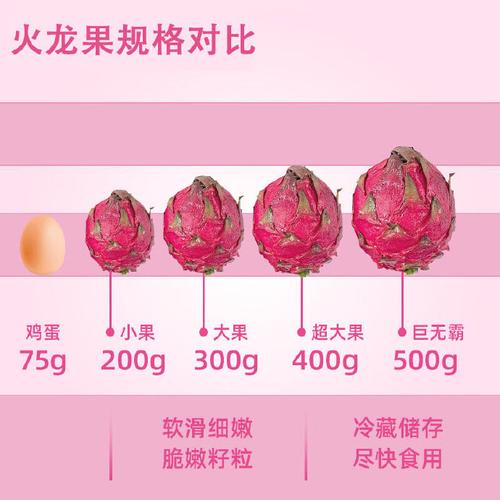 火龙果多少钱一个？-图1