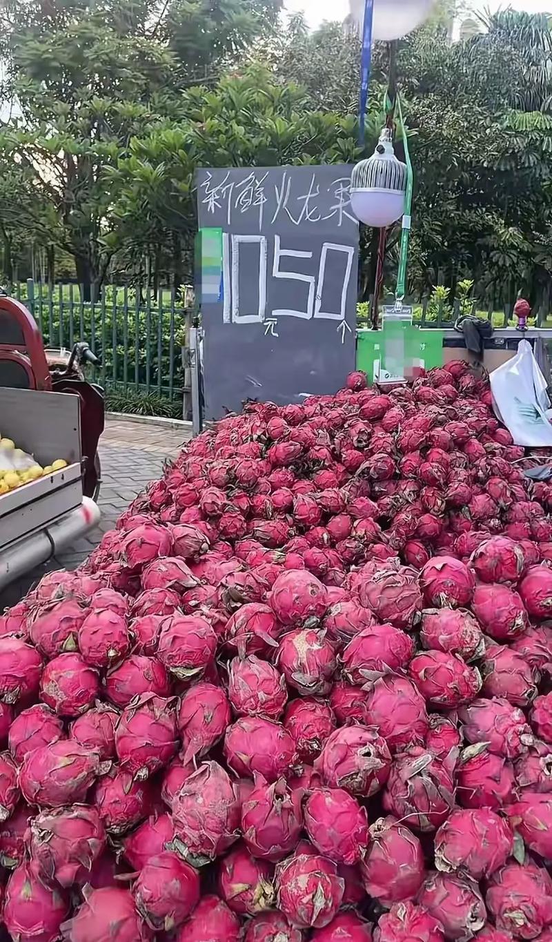 火龙果多少钱一个？-图2