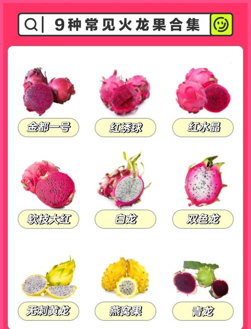 火龙果多少钱一个？-图3