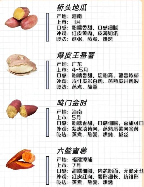 2025年红薯主推品种有哪些?-图2 2025年红薯主推品种有哪些?-图2